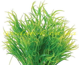 Отдушка "Лемонграсс" Отдушка "Лемонграсс"