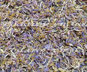 Сухоцвет Иван-чая Сухоцвет Иван-чая