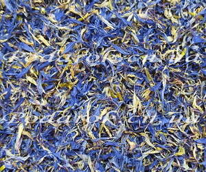 Сухоцвет Василька Сухоцвет Василька