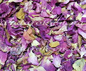 Сухоцвет Розы Сухоцвет Розы