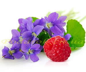 Отдушка "Малина и фиалка" Отдушка "Малина и фиалка"