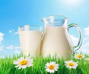 Отдушка "Молочная" Отдушка "Молочная"