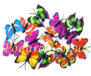 Бабочки разноцветные