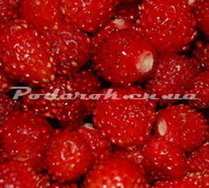 Отдушка "Земляника" Отдушка "Земляника"