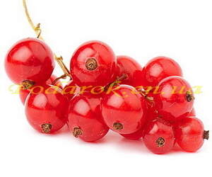 Отдушка "Красная смородина" Отдушка "Красная смородина"