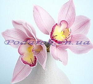 Отдушка "Орхидея" Отдушка "Орхидея"