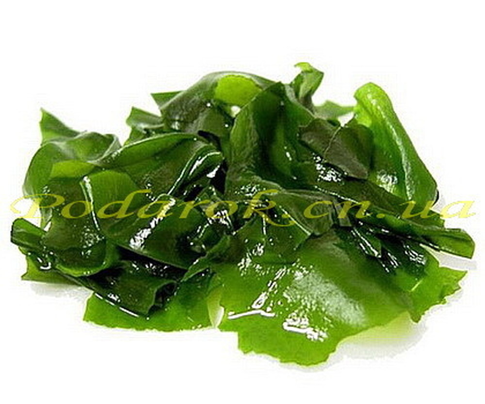 Гідролізат протеїнів ламінарії Гідролізат протеїнів ламінарії