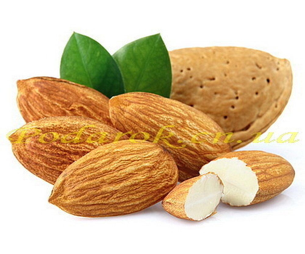 Гідролізат протеїнів мигдалю Гідролізат протеїнів мигдалю