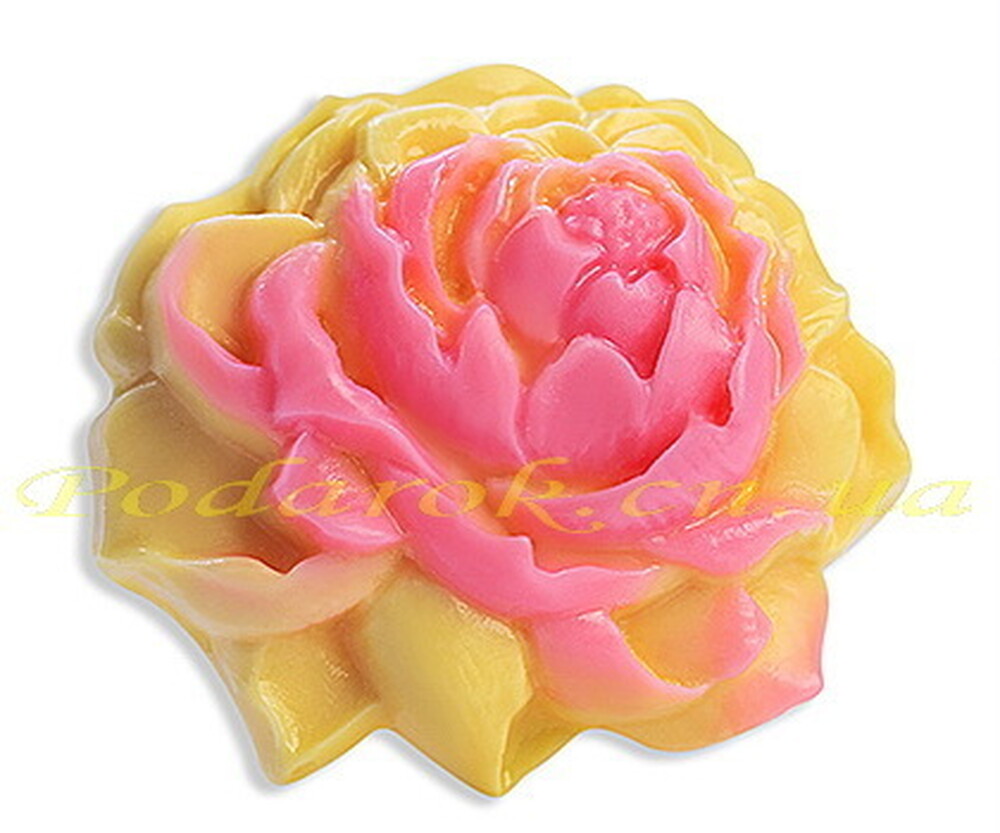 Пластикова форма Пластикова форма