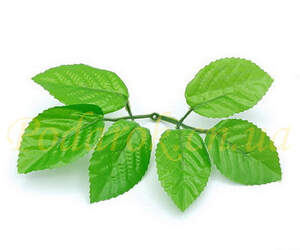 Листя троянди, L 18см Листя троянди, L 18см